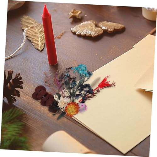 2 cajas de flores secas surtidas para manualidades DIY miniatura 3