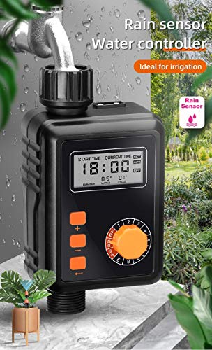 Minuterie d'eau électronique pour stopper l'irrigation en cas de pluie