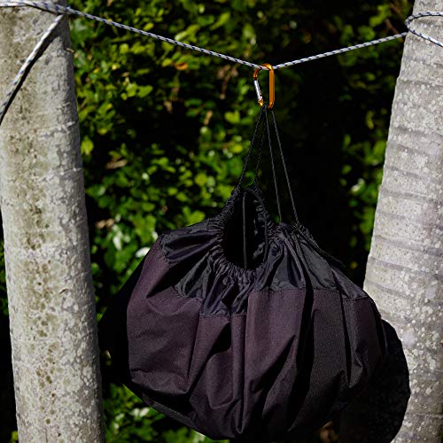 Neteez Keychain Carabiner Clip - 2.6" Small D-Ring Lightweight Color Set Key Chain Belt Clip Outdoor Backpacking Gate Snap Hook Camping, 6 Pcs Pack #TOP5