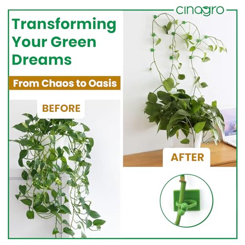 Image of Cinagro Plant Climbing Wall Clips, 30 Pieces with Self-Adhesive, Money Plant Support Clips, Vine Plants Fixing Clips, Invisible Hook Plant Clips for Climbers, Clips, Key Holder, Wires, Ropes