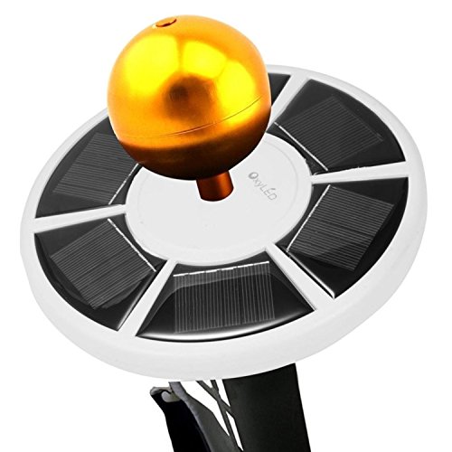 OxyLED PL102 (Yellow)