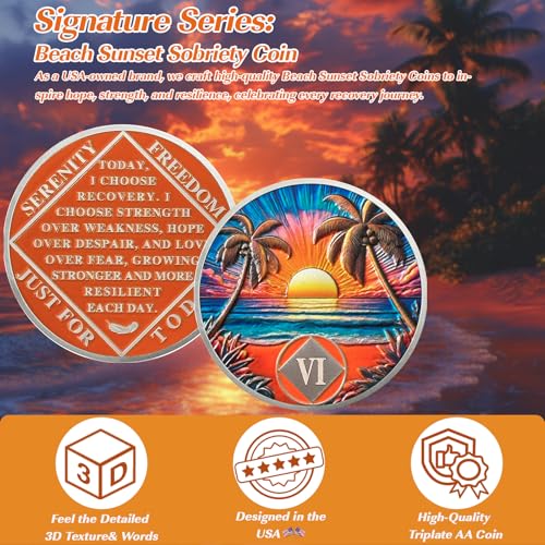 beach sunset 6 year sobriety coin affirmation na coin addiction recovery six year sober chip celebrating recovery anniversary token narcotics anonymous sobriety gifts for men women