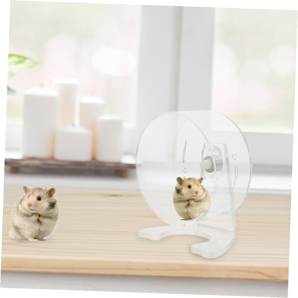 ifundom Rueda para Hámster Silenciosa con Soporte Rueda Acrílica Transparente para Ejercicio de Pequeños Roedores Juguete para Gerbils y Chinchillas Fácil Instalación