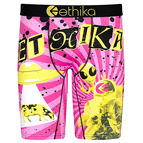 Ethika Men’s Boxer Brief, Knee Length, 4-Way Stretch Performance Underwear with Graphic Prints – Screen Print (AST, XL)