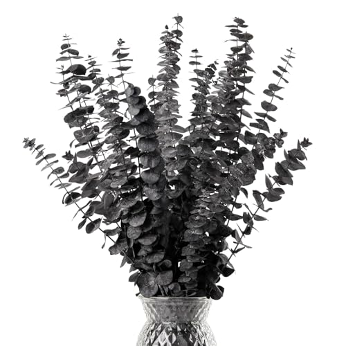 Black Eucalyptus Stems Halloween Preserved Dried Eucalyptus Plant 20Pcs