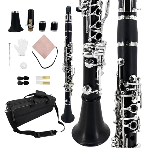 YoungMonic Ebonite Es-Klarinette mit silbernen Klappen für Orchesteraufführungen professionelle schwarze Es-Klarinetten mit gepolsterter Tragetasche und komplettem Wartungsset (n2)