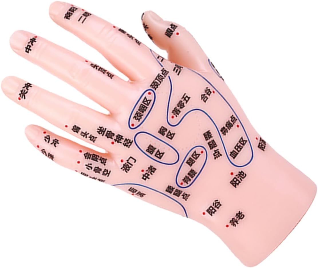 Reflexology Hand Model for Acupuncture and Massage Practice Durable Learning Tool for Tcm Education Versatile Design for Healthcare and Massage Settings Accurate Acupoint