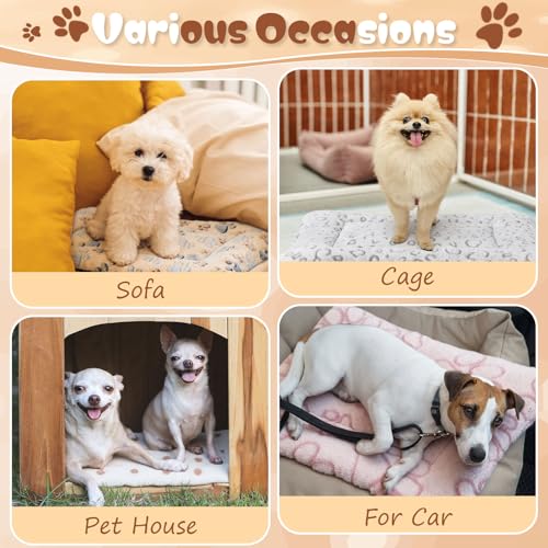 Chicmount 4 Pcs Dog Cat Bed Guinea Pig Mats Ultra Soft Dog Crate Kennel Pad Washable Bunny Bed Anti-Slip Guinea Pig Blankets for Small Animal Pet Cage Accessories(19.7X 13.8 Inch)