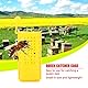 Zerodis 10Pcs Bienenkönigin Aufzucht Käfige Insekten Box Kunststoff Imkerei Ausrüstung Bienenzucht Werkzeuge