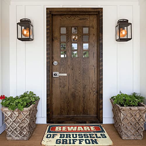 Panneau de porte avec Brussels Griffon tapis extérieur 65 x 90 cm