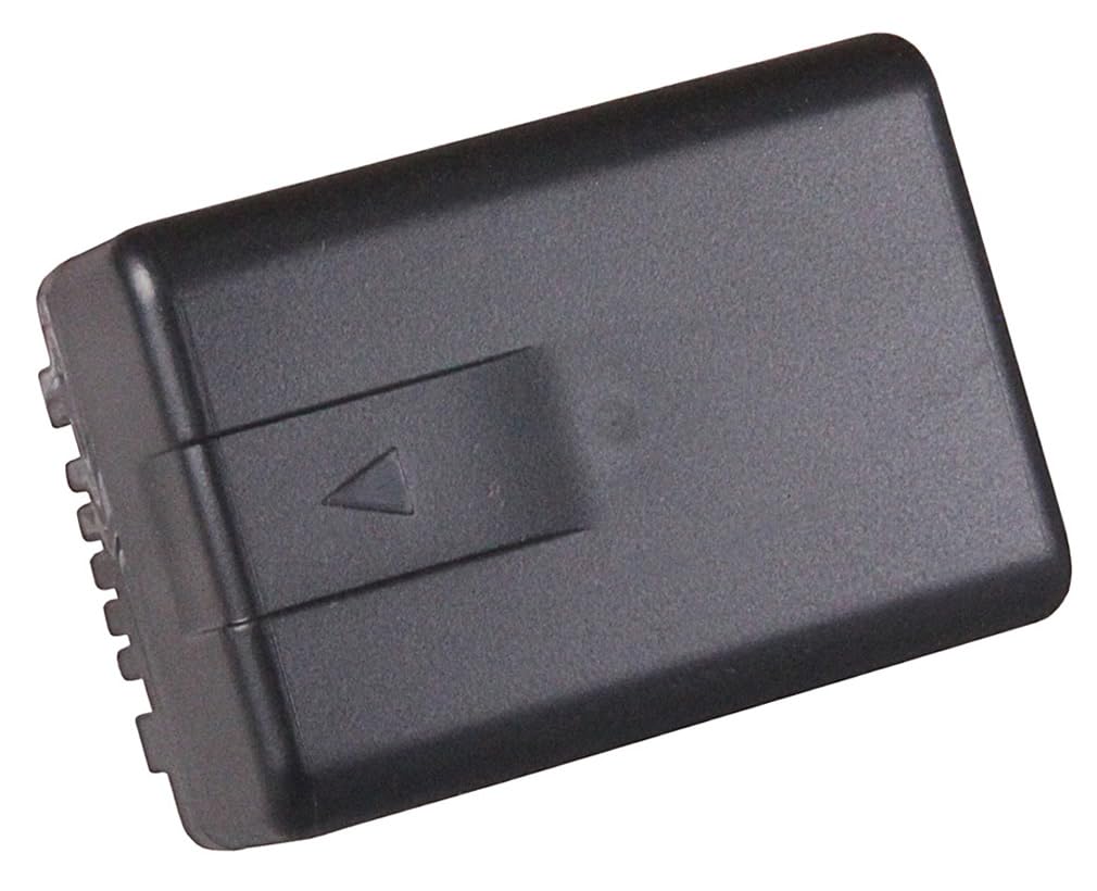 PATONA 2X Premium Batterie pour Panasonic VW-VBT190 VBT380 VBK180 VBK360