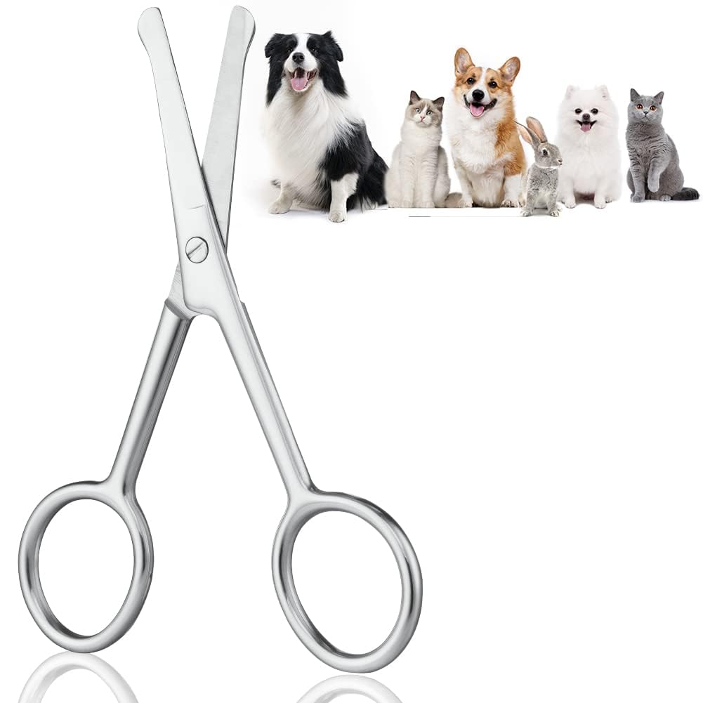 Adiwo Forbici per Animali, 10,5 cm Punta Arrotondata Forbici in Acciaio Inossidabile, Forbici per Toelettatura degli Animali Domestici, per Animali Capelli Toelettatura