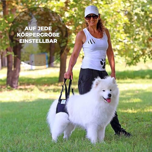 Nature Pet © - Tragehilfe Hund hinten - Verstellbarer Hunde Tragegurt als Treppenhilfe - Ideal für ältere, kranke oder operierte Vierbeiner - Praktische Unterstützung für Mobilität (L, Blau)