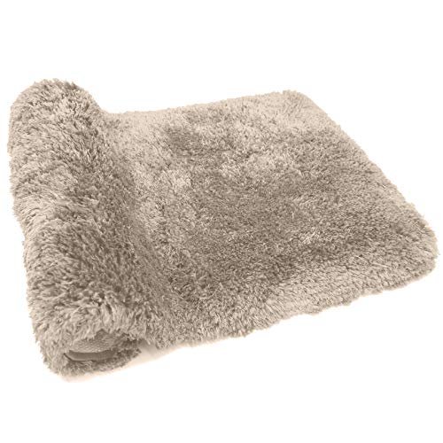 FIFU Bathroom Rugs Non-Slip, Soft Shaggy Bath Rugs for Bathroom, Microfiber Bath Mats for Bathroom Floor, Absorbent Plush Bathroom Mats, Machine Washable Bathroom Rug Mat 24x36 Beige
