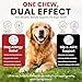 Dog Allergy Chews Hip and Joint Supplement for Dogs with Glucosamine Chondroitin for Anti Itch Skin Paw Pain Relief and Immune Pet Allergies Treats Chews for Itching and Licking Health Supplement Dogs