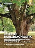  Handbuch Baumdiagnostik: Baumbiologische Grundlagen verstehen, Symptome erkennen und für die Baumkontrolle & -beurteilung nutzen