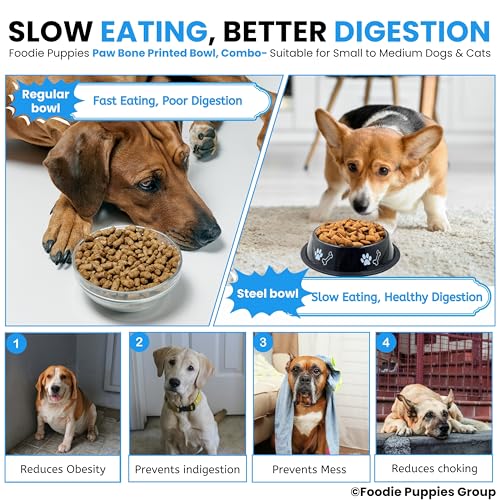 Image of Foodie Puppies Stainless Steel Dog Bowl Combo - (Medium,700ml) Food and Water Feeding Bowl | Suitable for Small to Medium Dogs I Paw Bone Print, Anti-Skid Rubber Base I Gift for Dogs (Skyblue + Black)