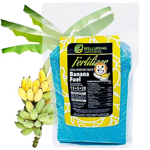 Top 10 Best Fertilizer For Satsuma Trees Top Picks 2023 Reviews