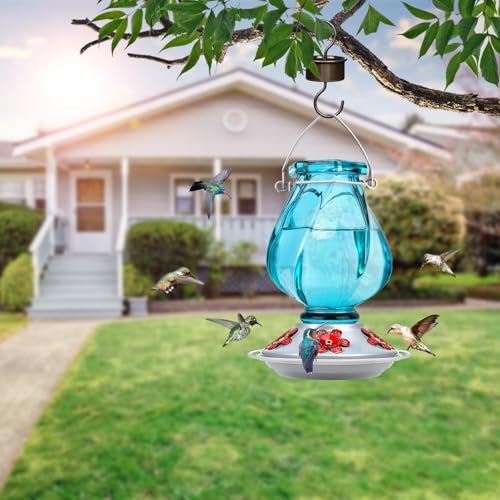 BOLITE Glass Hummingbird Feeders for Outdoors Hanging, Ant Moat, Blue, 22oz by BOLITE - Used condition - Image 2