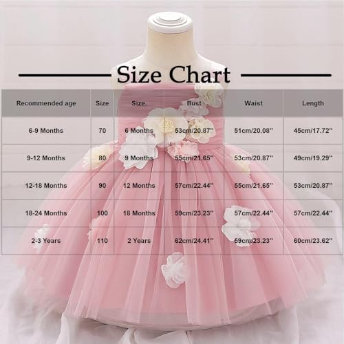 2025 Girls Flower Tulle Tutu Dress Formal Pageant Princess Party Birthday Dresses Toddler Baby Girl Dresses 6M-3Y2