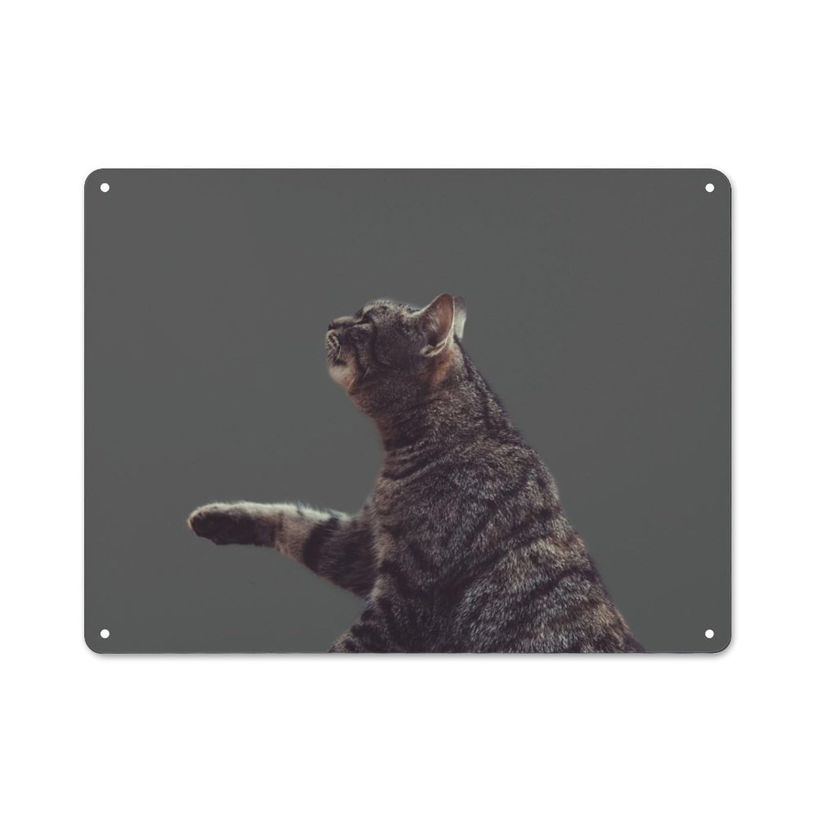 Junmoney Style-5 Funny Cat Farmhouse Metal Sign 30X40cm, Rustic Country Wall Plaque For Farmhouse Kitchen, Pantry Or Dining Area