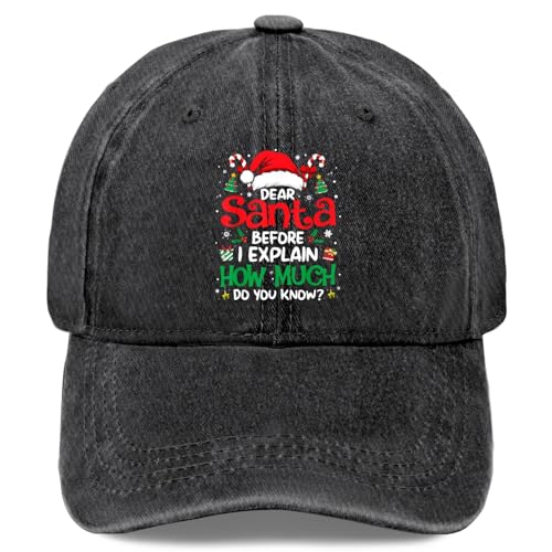 Dear Santaes Before I Explain How Much Do You Knows