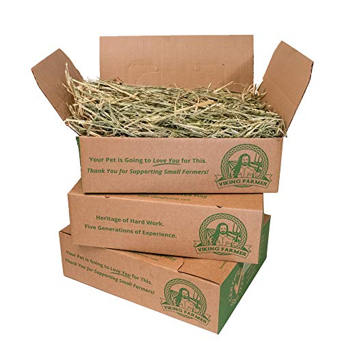 What Do Baby Rabbits Eat? Guide & Reviews)