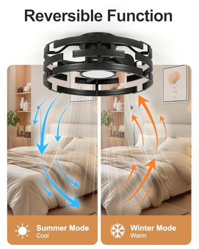 Image of Roomratv Fandelier Ceiling Fan with Light, 20 inch Flush Mount Metal Caged Enclosed Blades with Remote, Low Profile Farmhouse Fan Light for Bedroom Kitchen Living Room Office - Black