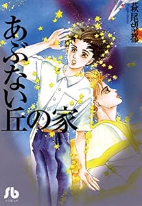 あぶない丘の家 (小学館文庫)