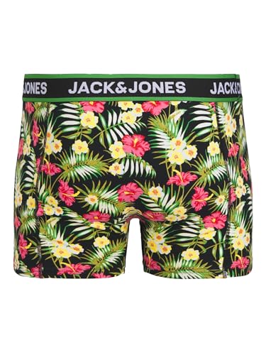 JACK & JONES Male Shorts 3er-Pack Shorts – Ansicht 4