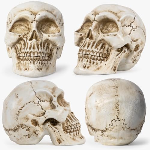 Estatua de Calavera de Resina para Decoración Hogar miniatura 7