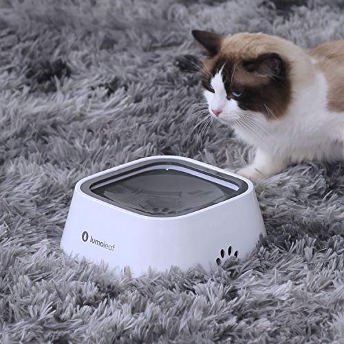 LumoLeaf Wassernapf für Hunde, kein Verschütten, langsamer Futterspender, hält Maul trocken, tropffreies Design (1L Grau)