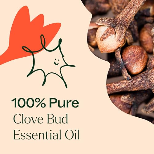 Aceite Esencial de Clavo Bud Plant Therapy 30 mL miniatura 5