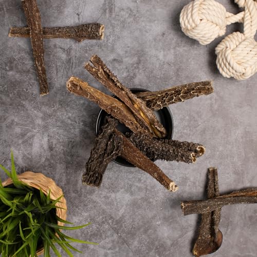 Lyra Pet® 5 kg Rinderpansen groß getrocknet 12-15 cm | Naturbelassener Kausnack | Proteinhaltiges Leckerli auch für Welpen und ältere Hunde | Nährstoffreich | Schonend getrocknet