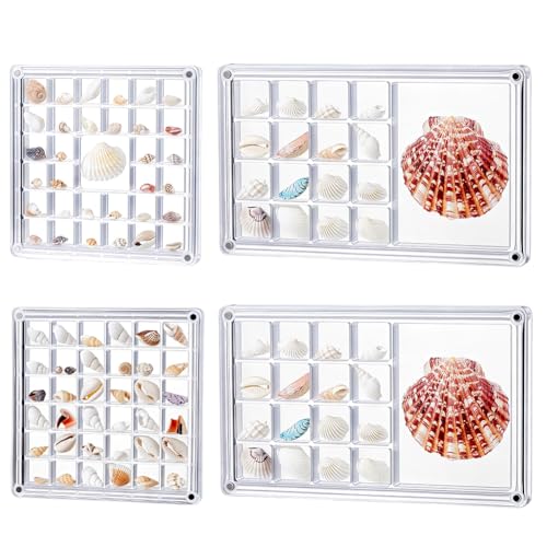 AHANDMAKER 4Pcs Clear Acrylic Seashell Display Box 7.05x4.33in 4.65x4.61in Grid