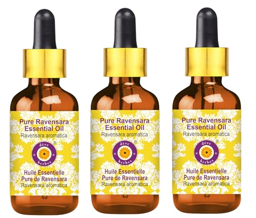 Huile essentielle de Ravensara bienfaits respiratoires lot de 3 flacons 100ml