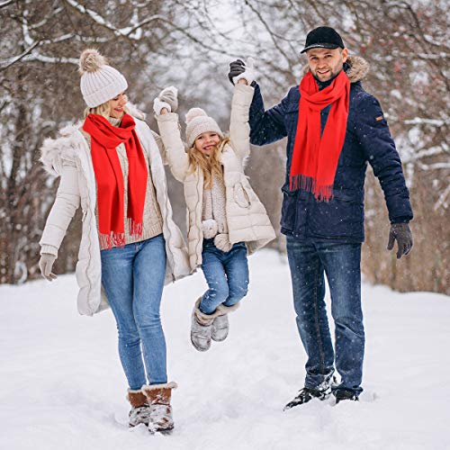 Image of boxed-gifts Cold Weather Winter Scarves for Men & Women - Cashmere Like Acrylic Long Soft Scarves