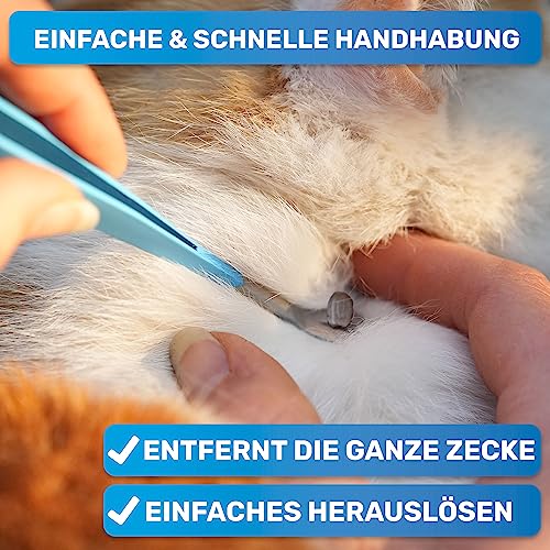 BluePet 2in1 Zeckenpinzette für Hunde, Katze, Pferd & Mensch I Edelstahl Zeckenzange mit Case I Zeckenhebel als Solider Zeckenentferner I Alternative zu Zeckenpinzette, Zeckendreher & Zeckenmittel