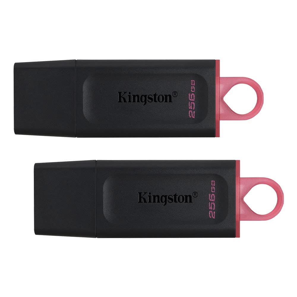 Kingston DataTraveler Exodia 256GB USB 3.2 Flash Drive DTX/256GB - 2 Pack