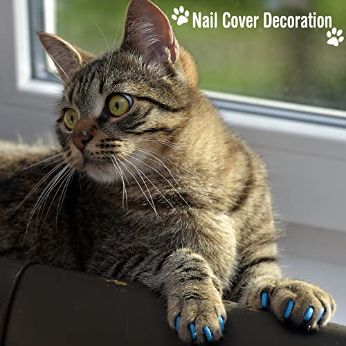 Image of 9 Pcs Cat Bathing Bag Set Cat Shower Bag Anti Bite and Scratch for Pet Grooming Washing Brush Comb Muzzle Nail Clipper Nail File Tick Tool(Blue, Turquoise)