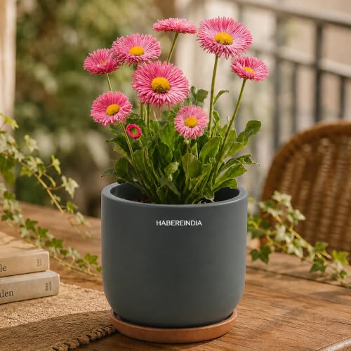 Image of Habere India-All the Cultures Fabricating India Plant Pot with Wooden Plate | Flower Pots for Dining Table & Home Decor | Terracotta Pot for Living Room Decoration (Dark Gray, Dia11 x H9.5 cm)