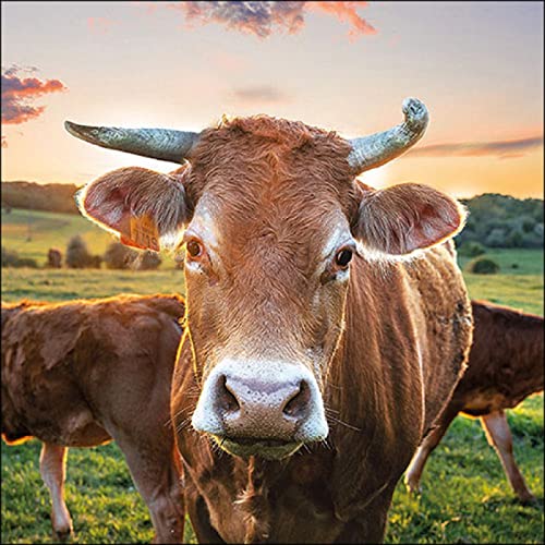 Ambiente - 13317525 - Lot de 20 serviettes de table en papier, Vache, 33 x 33 cm, 3 plis