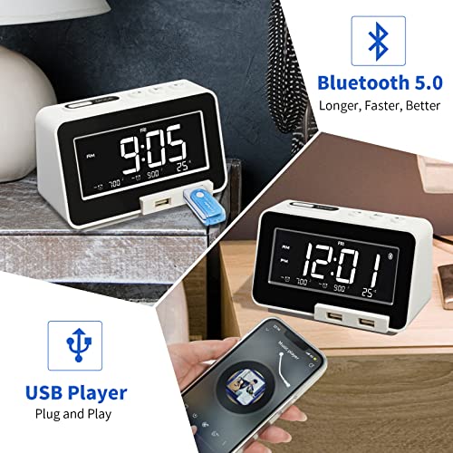 Dieserwelpe K5 Bluetooth Alarm Clock Radio, Usb Player, Stepless Dimmer, Dual Separate Alarm With Weekend Mode, Sleep Timer, Usb C Charger, Battery Backup #TOP1