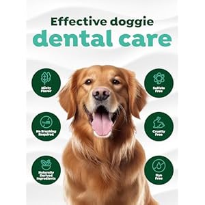 TropiClean Clean Teeth Gel for Dogs | Dog Dental Care | Dog Toothpaste | Breath Freshener | Easy Teeth Cleaning | Made in The USA | 2 oz.