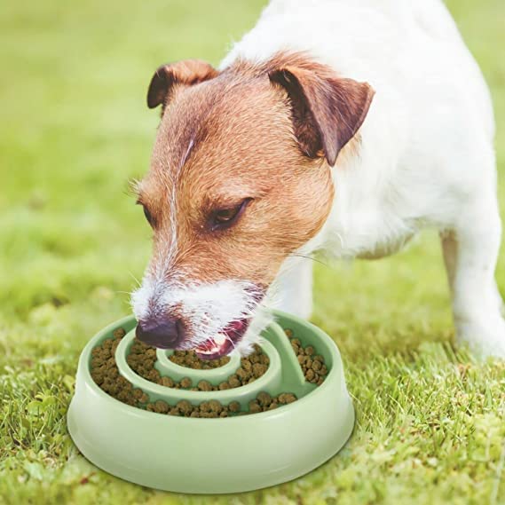 See full amazon price history chart for Woofy Pets Slow Feeding Bowl - Non Slip and No Choking Food Dish Water Feeding Bowl (Color May Vary) - Pack of 1 Woofy Pets Slow Feeding Bowl - Non Slip and No Choking Food Dish Water Feeding Bowl (Color May Vary) - Pack of 1 (B0BSFTZLQ6) Amazon Price History, Amazon Price Tracker