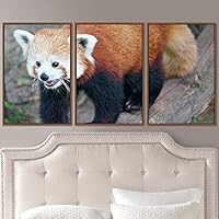 3 Piece Framed Canvas Wall Art Firefox Rustic Urban Canvas Prints Home Artwork Decoration for Living Room,Bedroom - 16