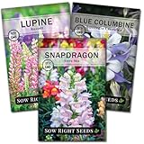Sow Right Seeds - Hummingbird Seed Collection for Planting - Snapdragons, Russell Lupine, and Columbine - Seed Kit for Pollinators - Non-GMO Heirloom with Instructions to Plant - Makes a Great Gift