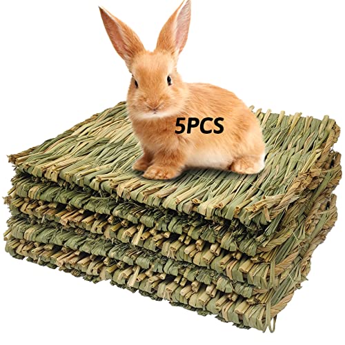 Top 10 Best Grass Mat for Bunny of 2022 Review Best Pet Pro