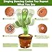 Cactus Bailarin, Cactus Bailarin Repite español Imagen de Cactus Bailarin, Cactus Bailarin Repite español