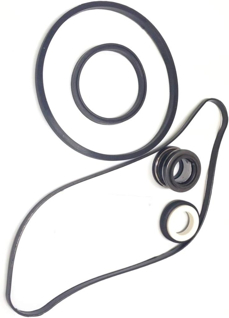 Southeastern Pool Pump ORing Gasket Rebuild Repair Kit for